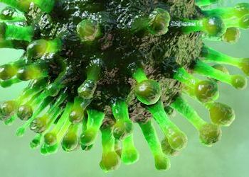 Beeld van coronavirus in de kleur groen