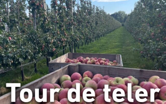 Tour de Teler bij FruitMasters: een middag vol fruit, smaak en passie