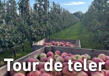 Tour de Teler bij FruitMasters: een middag vol fruit, smaak en passie